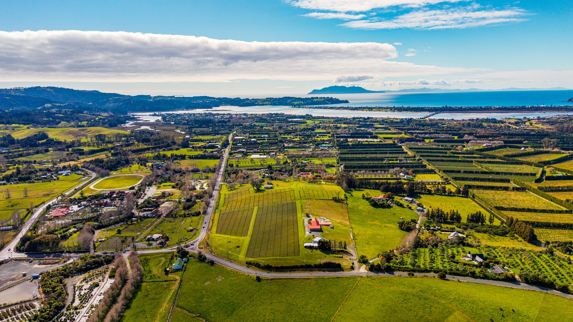 Elevated aerial across the vineyard title looking toward Omaha and the coast