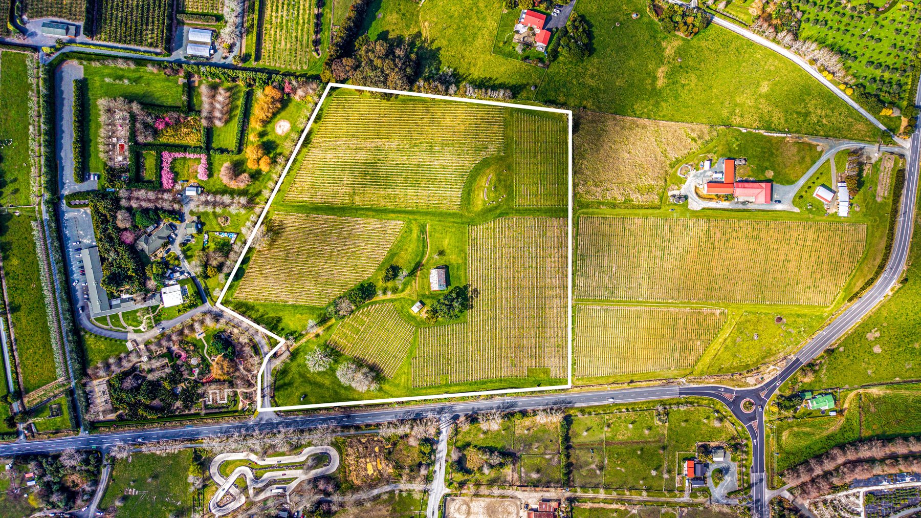 Aerial with the 38 Omaha Flats Road title boundary outlined — the Oak Hill Vineyard plantings
